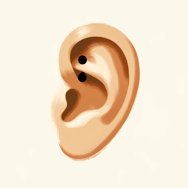 Rook